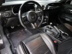 Thumbnail Photo 6 for 2023 Ford Mustang GT Premium