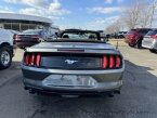 Thumbnail Photo 5 for 2023 Ford Mustang