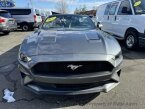 Thumbnail Photo 2 for 2023 Ford Mustang