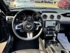 Thumbnail Photo 6 for 2023 Ford Mustang