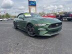Thumbnail Photo 1 for 2023 Ford Mustang
