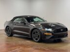 Thumbnail Photo 3 for 2023 Ford Mustang