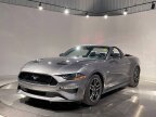 Thumbnail Photo 1 for 2023 Ford Mustang