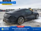 Thumbnail Photo 4 for New 2023 Ford Mustang GT Coupe