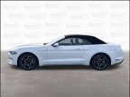 Thumbnail Photo 4 for 2023 Ford Mustang