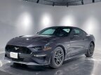 Thumbnail Photo 1 for 2023 Ford Mustang GT Coupe