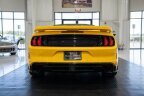 Thumbnail Photo 6 for 2023 Ford Mustang