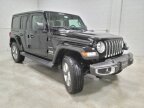 Thumbnail Photo 3 for New 2023 Jeep Wrangler