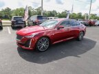 Thumbnail Photo 3 for 2024 Cadillac CT5
