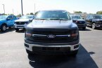 Thumbnail Photo 4 for New 2024 Ford F150