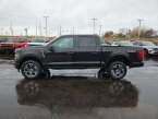 Thumbnail Photo 3 for New 2024 Ford F150