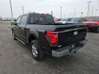 Thumbnail Photo 4 for New 2024 Ford F150