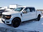 Thumbnail Photo 2 for New 2024 Ford F150
