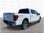 Thumbnail Photo 2 for New 2024 Ford F150
