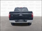 Thumbnail Photo 6 for 2024 Ford F150