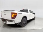 Thumbnail Photo 6 for 2024 Ford F150