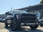 Thumbnail Photo 1 for 2024 Ford F150