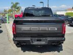 Thumbnail Photo 6 for 2024 Ford F150