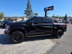 Thumbnail Photo 4 for 2024 Ford F150