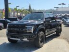 Thumbnail Photo 3 for 2024 Ford F150