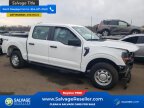Thumbnail Photo 5 for New 2024 Ford F150