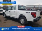 Thumbnail Photo 3 for New 2024 Ford F150