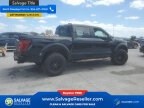 Thumbnail Photo 4 for New 2024 Ford F150 4x4 Crew Cab Raptor