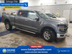 Thumbnail Photo 5 for 2024 Ford F150