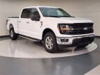 Thumbnail Photo 6 for 2024 Ford F150