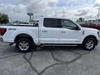 Thumbnail Photo 4 for 2024 Ford F150