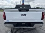 Thumbnail Photo 5 for 2024 Ford F150