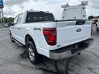 Thumbnail Photo 6 for 2024 Ford F150