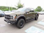 Thumbnail Photo 2 for 2024 Ford F150