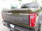 Thumbnail Photo 6 for 2024 Ford F150