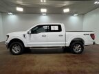 Thumbnail Photo 5 for 2024 Ford F150