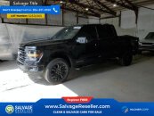 New 2024 Ford F150