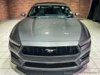 Thumbnail Photo 6 for 2024 Ford Mustang