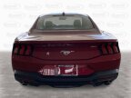 Thumbnail Photo 3 for New 2024 Ford Mustang