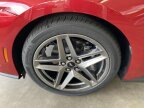 Thumbnail Photo 6 for New 2024 Ford Mustang