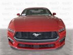 Thumbnail Photo 5 for New 2024 Ford Mustang