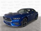 Thumbnail Photo 4 for New 2024 Ford Mustang