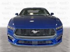 Thumbnail Photo 5 for New 2024 Ford Mustang