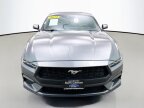 Thumbnail Photo 1 for 2024 Ford Mustang