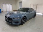 Thumbnail Photo 3 for 2024 Ford Mustang
