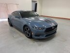 Thumbnail Photo 1 for 2024 Ford Mustang