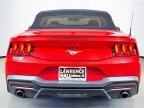 Thumbnail Photo 4 for 2024 Ford Mustang