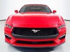 Thumbnail Photo 1 for 2024 Ford Mustang