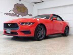 Thumbnail Photo 4 for 2024 Ford Mustang