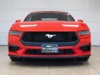 Thumbnail Photo 5 for 2024 Ford Mustang