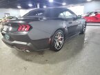 Thumbnail Photo 3 for 2024 Ford Mustang GT Premium